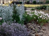 bloemen1