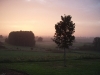 mist