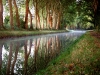 Canal de Berry
