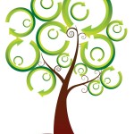 Boom-Arbre-Projet